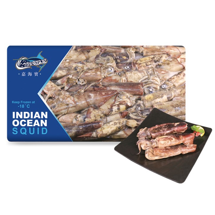 ماهی مرکب منجمد اقیانوس هند