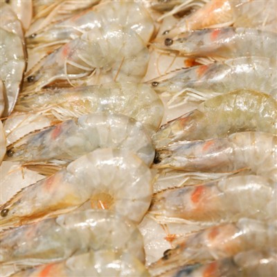 افرادی که از کووید بهبود می یابند چگونه غذا می خورند؟