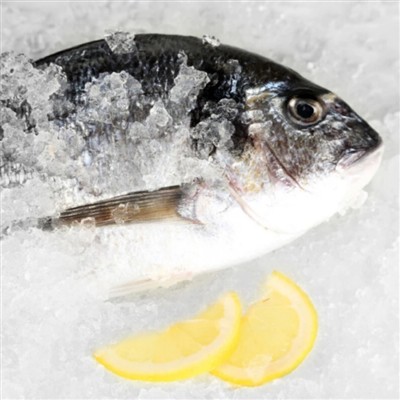 تجارت جهانی غذاهای دریایی 164 میلیارد دلار است