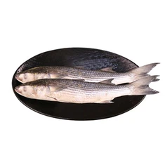 کفال رو خاموش
