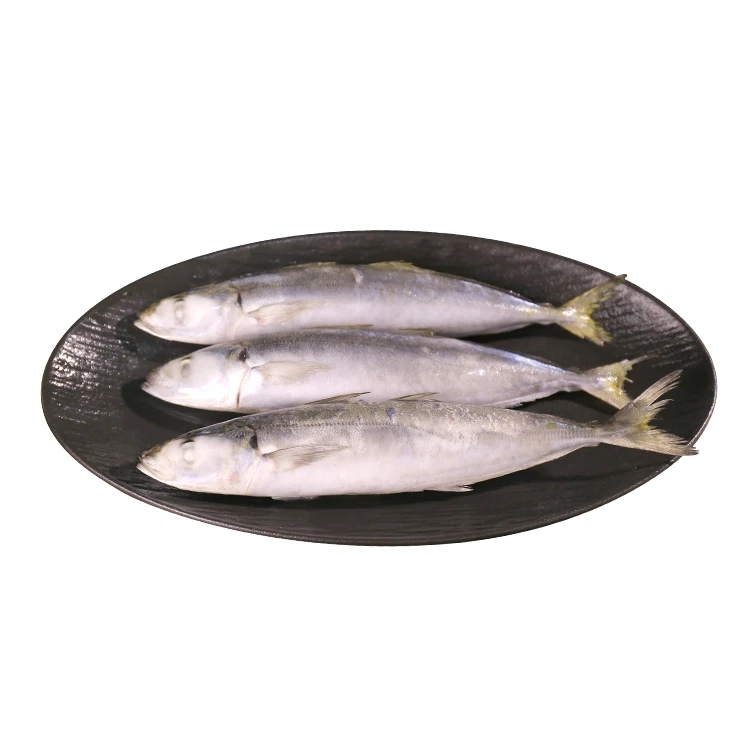 کارخانه یخ زده Galunggong