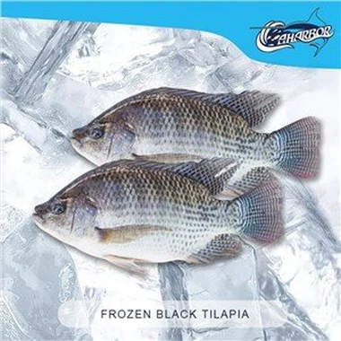 ماهی منجمد Oreochromis Niloticus