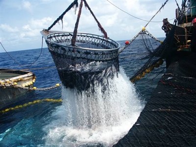 Sourcing Methods for Seafood
