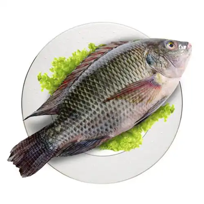 Reasons for the slowdown in the global tilapia trade